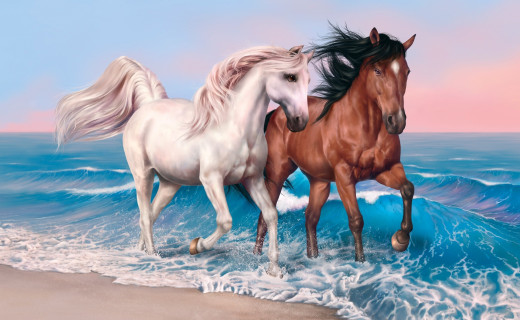 1037769 (a): :2880x1767